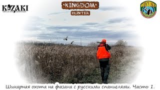 Шикарная охота на фазана с русскими спаниелями. Часть 1 Шикарная охота на фазана с русскими спаниелями. Часть 1
