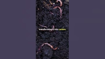 Biomass Refined  99% Organic Carbon in Soils  #academicachievement #facts #sciencefather