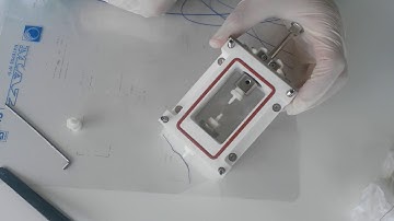 Tubular samples in the EBERS TC-3/TC-3F mechanical stimulation bioreactor