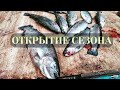Ловля форели на спиннинг 2022 | Рыбалка на Безлимите в Дурыкино