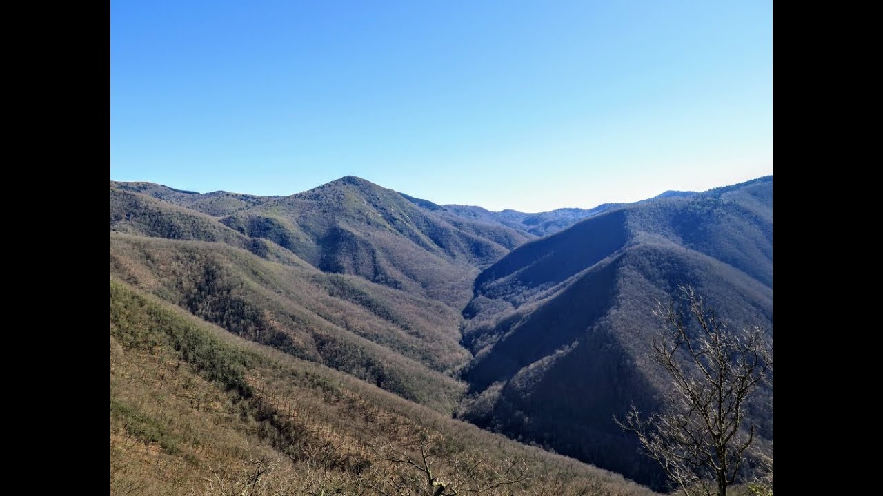 High Top and Birdstand Mountain - Shining Rock Wilderness, NC