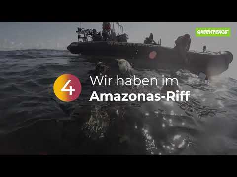 Greenpeace: Die Meere brauchen deine Hilfe! - Greenpeace: Die Meere brauchen deine Hilfe!