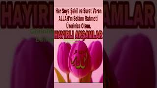 Download Lagu 🌹⛓️🌹🌿🌸¨¨˜”°º★🌿🌸﷽ 🌸🌹🤲ﷲAMÎÎÎÎÎN YA RABBEL🌹 ALEMÎNﷲ🤲🌿 MP3