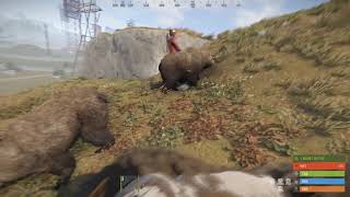 IQBearRider | Ru | Plugins Rust | SkyPlugins.ru