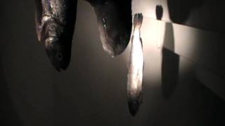 ARBOGAST - Beckomberga 1944 (Official video)
