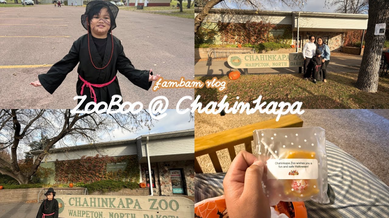 Chahinkapa’s ZooBoo | Fun Family Friendly Halloween Event - YouTube