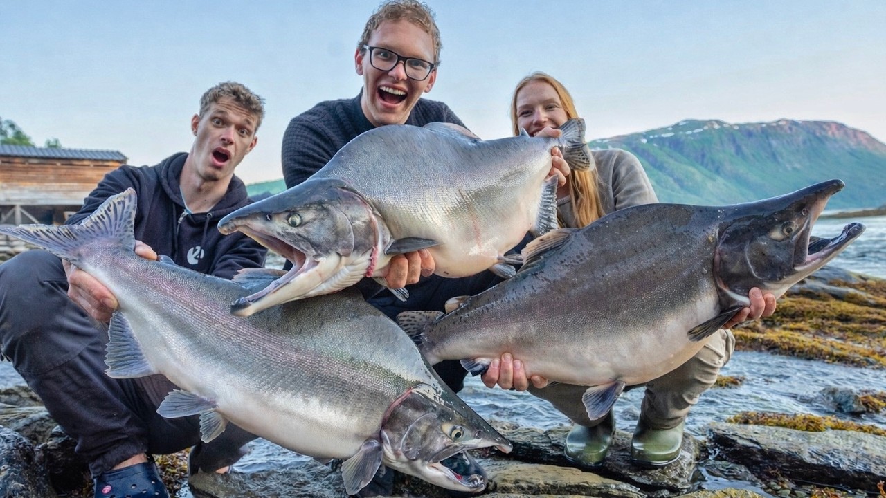 Fluss voller invasiver Monsterlachse gefunden! (Jeder Wurf Fisch!)