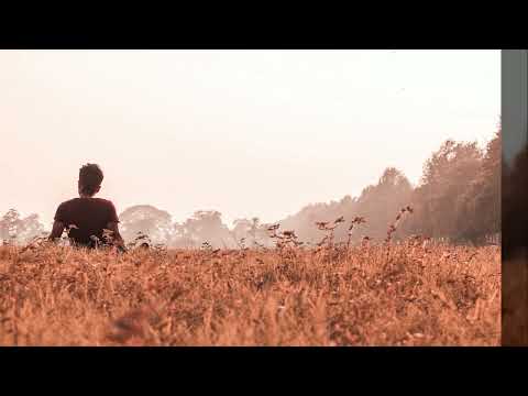 롤러코스터 - 습관