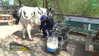 Procesarea Laptelui În Brânzeturi Crește Valoarea Prețului De Valorificare De Cinci Ori