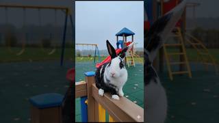 I asked google gemini to turn this photo into,👉👀🐇❤️#rabbit #trendingshorts #viral #pets #viralsong " screenshot 3