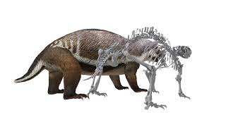 3D Reconstruction of "Crazy Beast" Adalatherium