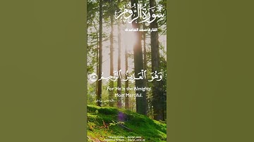 سورة الروم