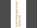 #petshopboys #cover #instrumental