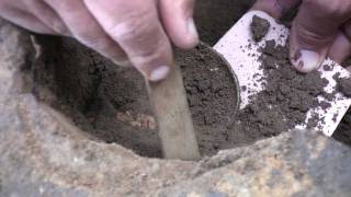 Unique Artifact Unearthed in James Fort