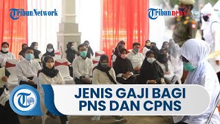 Mengintip Jenis Gaji CPNS dan PNS, Dapat Gaji Pokok, Tunjangan Kinerja Hingga Tunjangan Anak