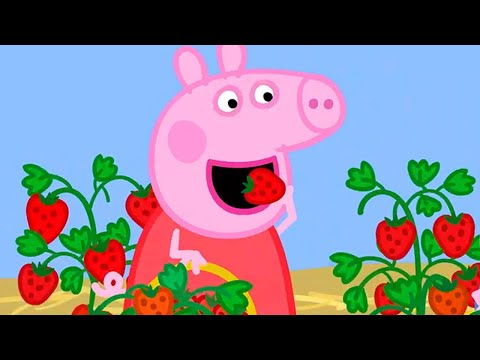 Peppa Pig Full Episodes, Season 8, Compilation 47