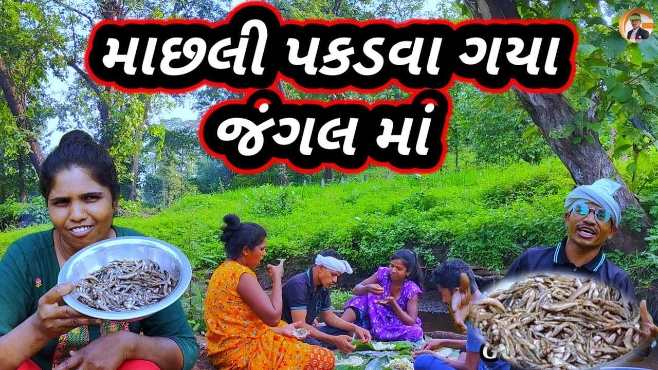 માછલી પકડવા ગયા જંગલ માં ફૂલ મોજ RT DANGI COMEDY