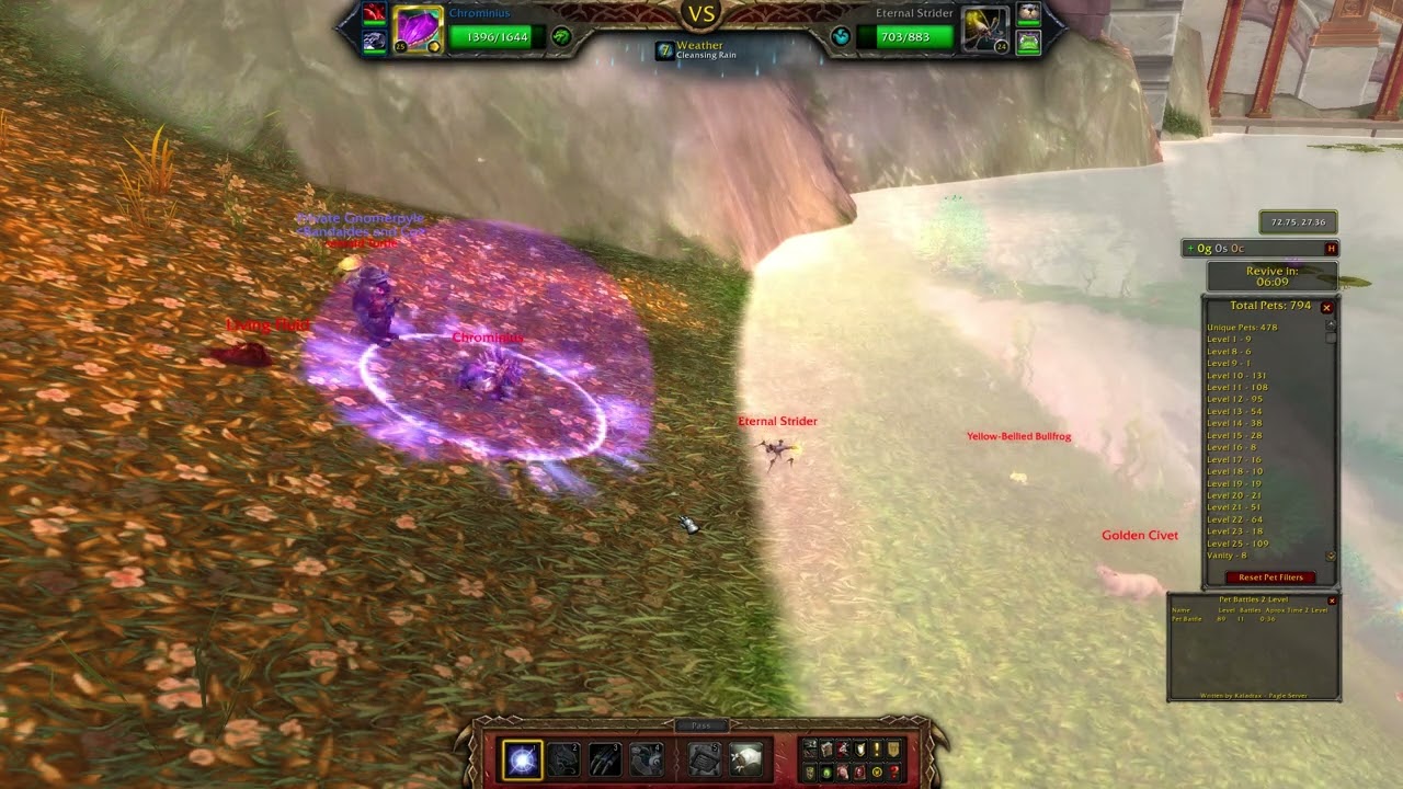 Leveling myself and my pet the easy way!