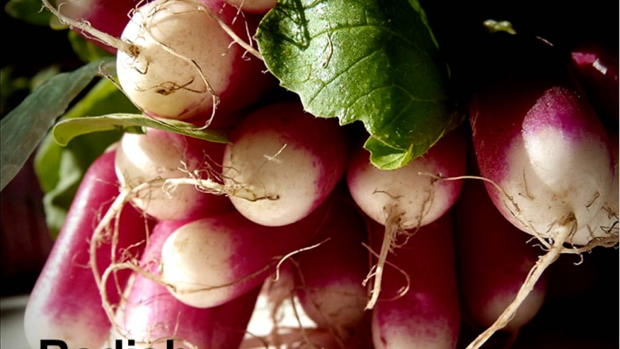 Extending the Growing Season and Putting the Garden to Bed