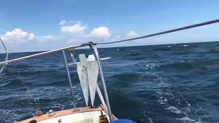 1980 Cape Dory 25 - “Pearla”