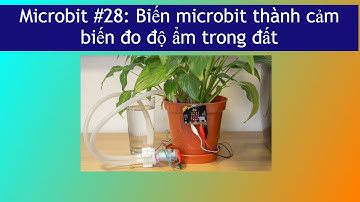 Microbit #28: Biến microbit thành cảm biến đo độ ẩm trong đất
