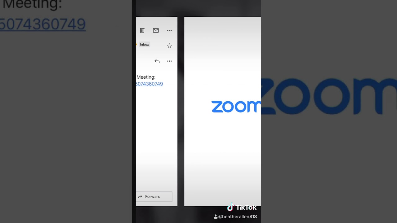 Zoom How to: Using the App