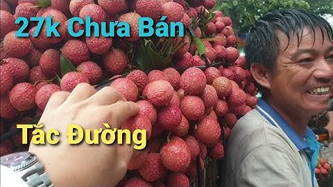 Bất Ngờ Giá Vải - Lượng Vải Cuối Vụ Tại Ngã Ba Cầu Chét l Núi Đồi Lục Ngạn