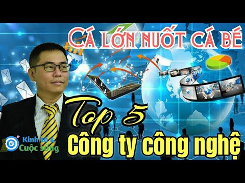 Cá lớn nuốt cá bé – Cách trở thành lớn nhất của 5 công ty CÔNG NGHỆ lớn nhất Thế Giới.