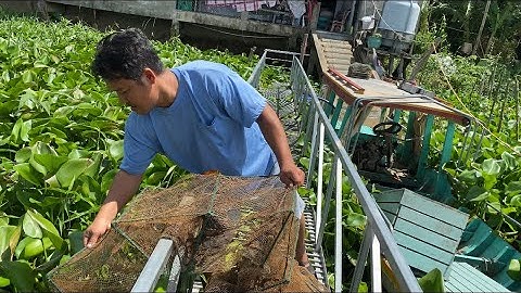 DỞ 12 CỬA NGỤC DÍNH TÔM TÉP THẤY MÀ HAM-T248