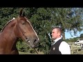 CONCOURS  NATIONAL DU CHEVAL BRETON 2019 ,  LAMBALLE