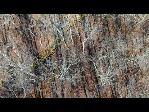 Video Drone PH04 Winter Narrated
