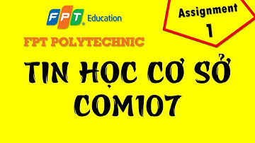 Assignment P1 Tin học cơ sở - COM107