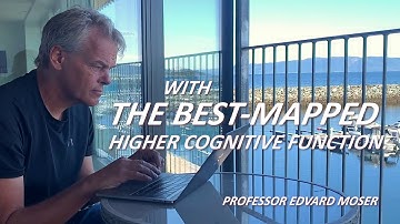 KiloNeurons: The quest to unravel the secret of higher brain functions