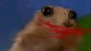 Dramatic Joker Chipmunk