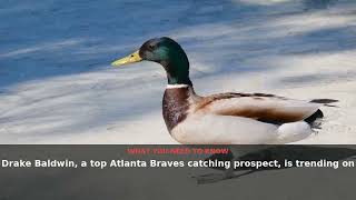 Drake Baldwin Trending: What to Know About the Braves Catcher | August 2026 | NewsDrop