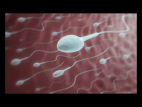 Unlocking Unbelievable Results: The V3.0 Semen & Sperm Booster!