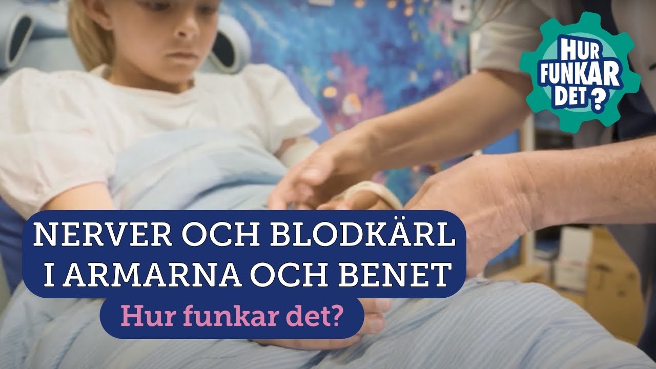 Undersöka nerver och blodkärl i armarna och benen