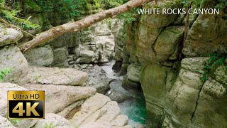 Relaxing Hike White Rocks Canyon - 4K🎧ASMR - Binaural 3D Ambient Nature Sounds Mountain Walking Tour