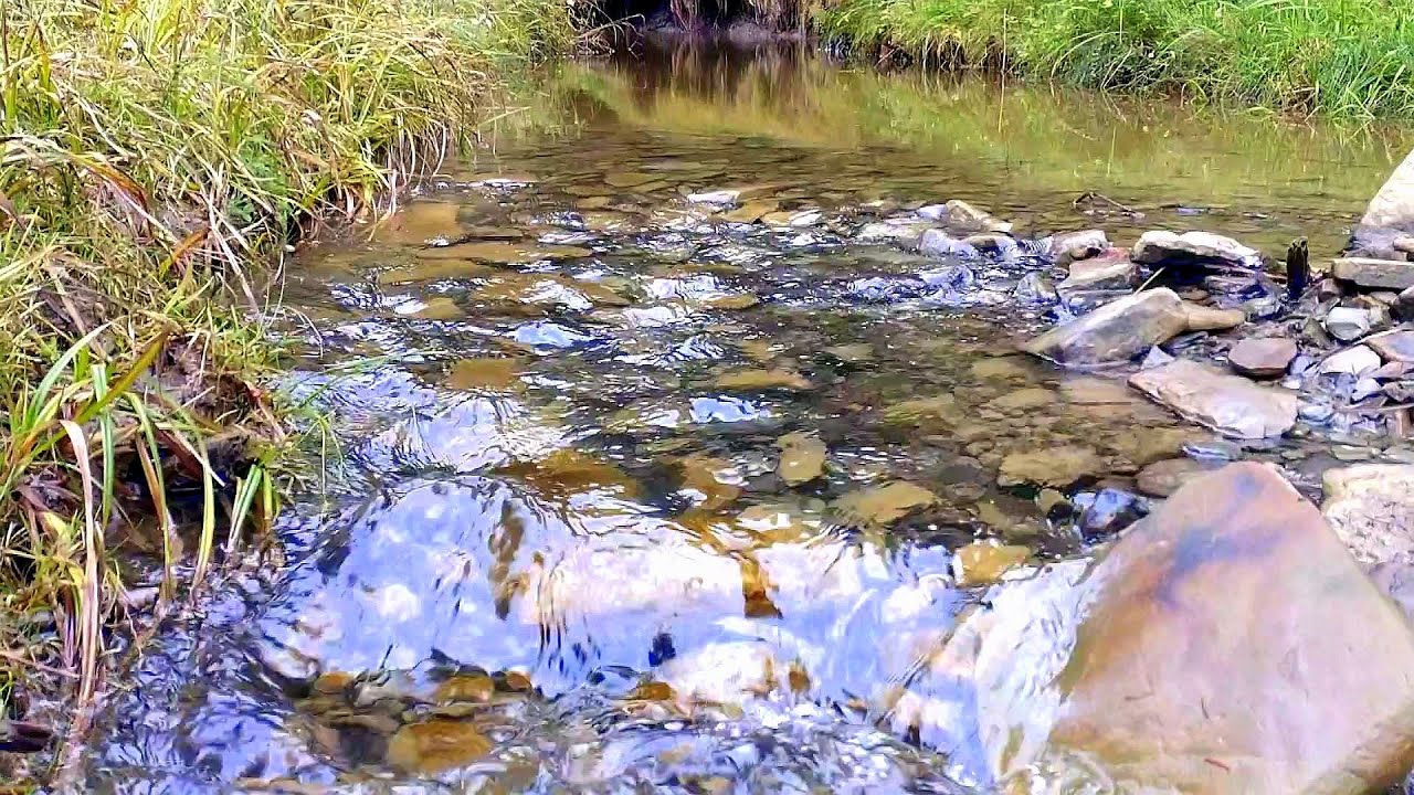 In vaduri ape repezi curg...