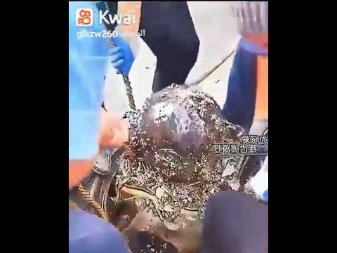 مدارس الصين تعرض للاطفال كيف يعمل اباؤهم من اجل مستقبلهم وهذه ردة فعلهم فهي دافع للنجاح