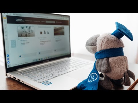 Вторничный семинар: «Как школьное образование может сократить риски эпидемий?»