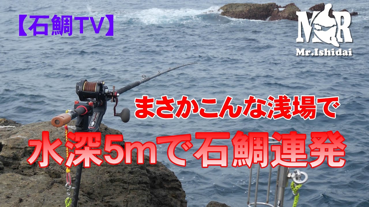 【石鯛TV】まさかこんな浅場で？！　水深５ｍで石鯛連発
