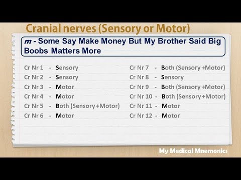Cranial Nerves My Medical Mnemonics Youtube