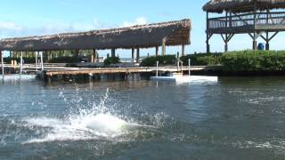 Flagler