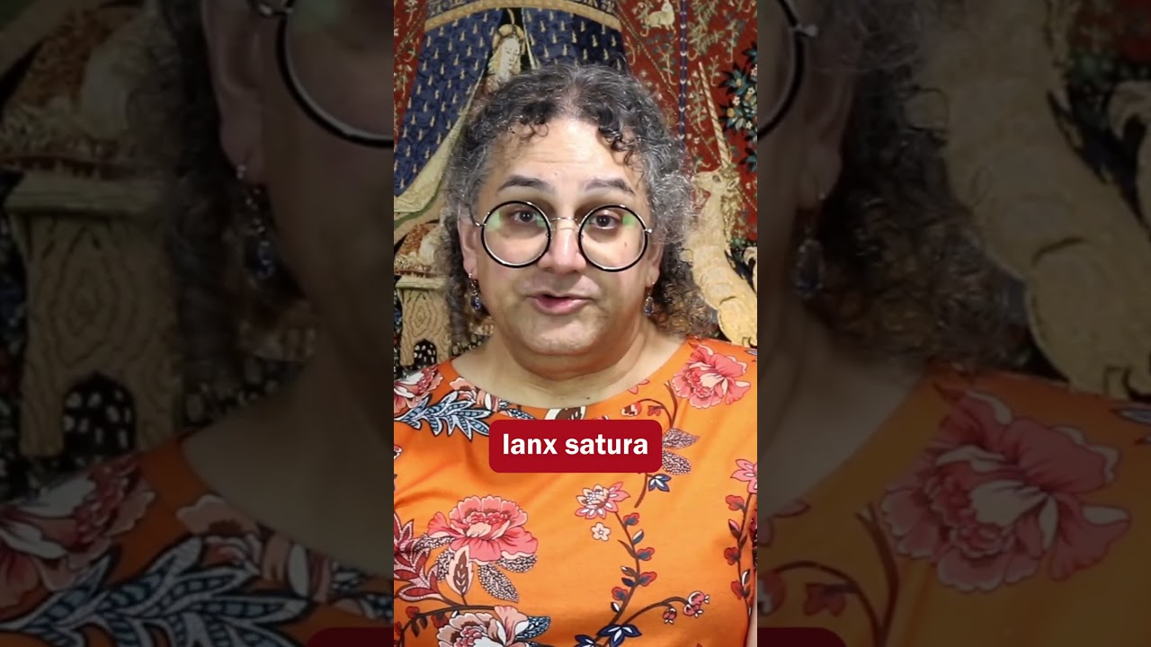 Satire/Hadron/Satisfy #Etymology