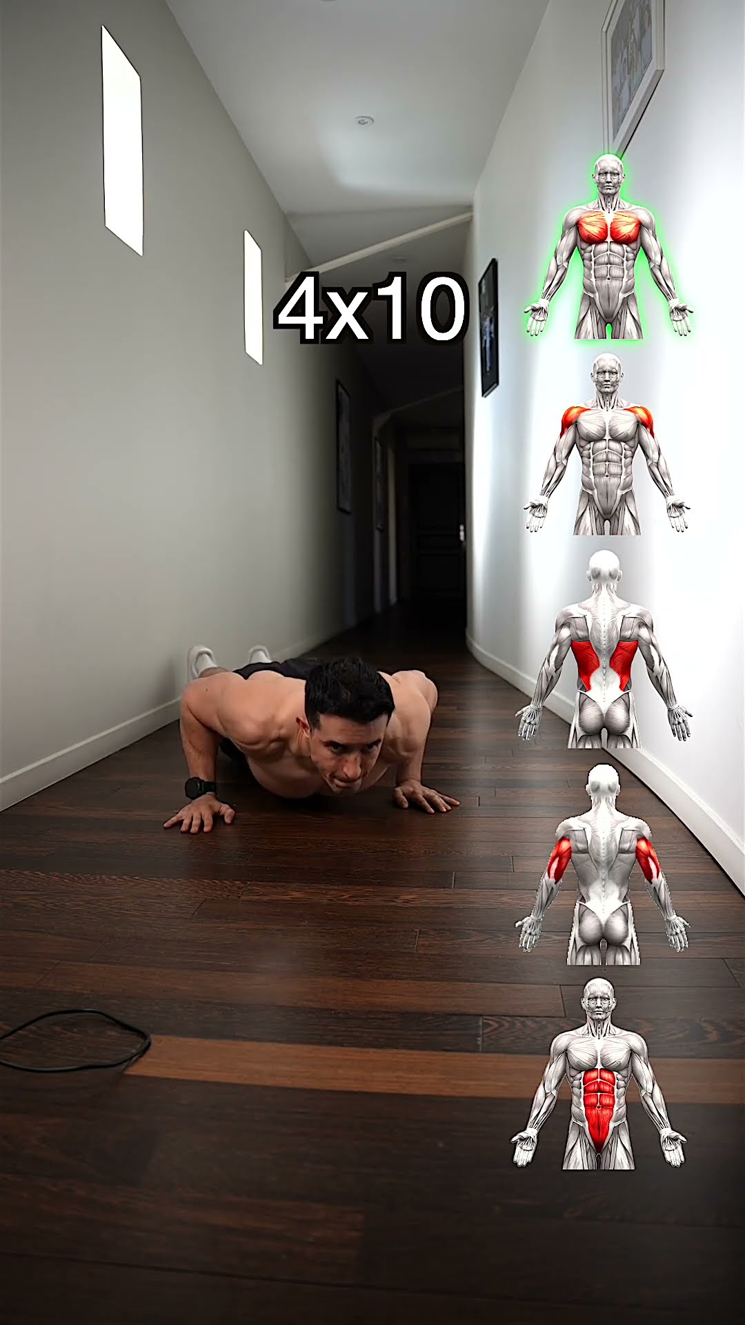 Best upper body workout !! ?