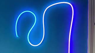 Govee RGBIC Neon Rope Light video
