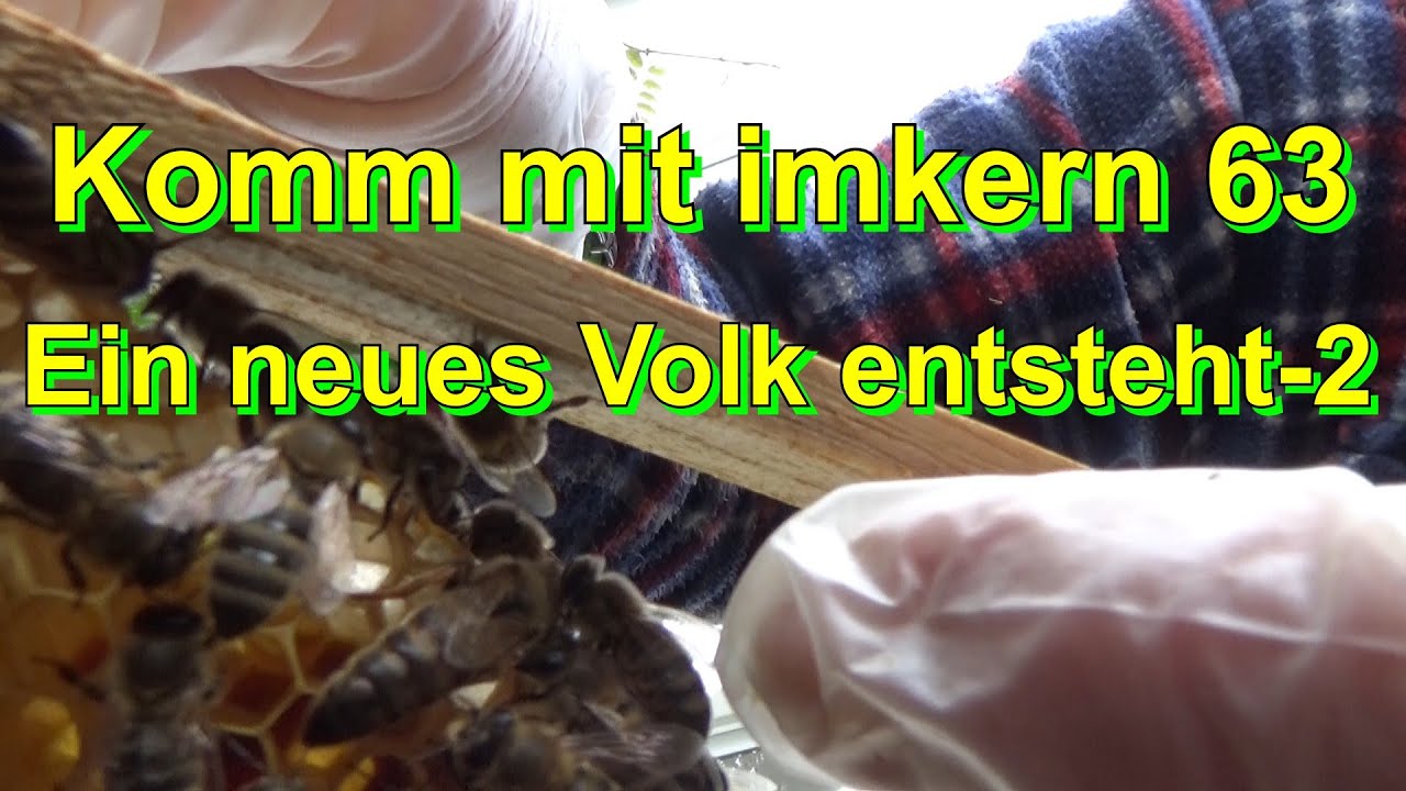 Komm mit imkern 63 (27, Ein #neues #Volk entsteht?-2)
