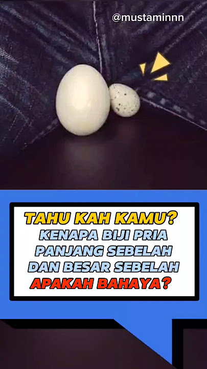 KENAPA TELUR KITA BESAR SEBELAH APAKAH NORMAL #taukahkamu #taugaksih #faktaunik