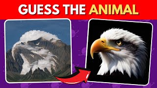 Guess the Hidden Animal by ILLUSION 🐱🐼Easy, Medium, Hard levels